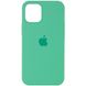Чохол Silicone Case Full Protective (AA) для Apple iPhone 13 Pro (6.1 "), Зеленый / Spearmint