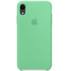 Чехол Silicone case (AAA) для Apple iPhone XR (6.1") Зеленый / Spearmint