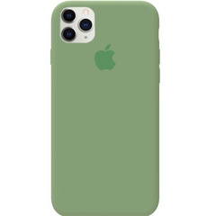 Чехол Silicone Case Full Protective (AA) для Apple iPhone 11 Pro Max (6.5") Зеленый / Spearmint