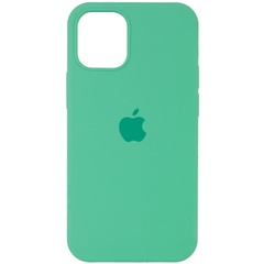 Чохол Silicone Case Full Protective (AA) для Apple iPhone 12 Pro Max (6.7 "), Зеленый / Spearmint