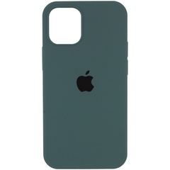 Чехол Silicone Case Full Protective (AA) для Apple iPhone 12 Pro / 12 (6.1") Зеленый / Cactus