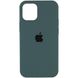 Чохол Silicone Case Full Protective (AA) для Apple iPhone 12 Pro / 12 (6.1"), Зеленый / Cactus