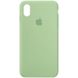 Чохол Silicone Case Full Protective (AA) для Apple iPhone XR (6.1 "), Зеленый / Pistachio