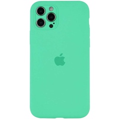 Чехол Silicone Case Full Camera Protective (AA) для Apple iPhone 13 Pro (6.1") Зеленый / Spearmint