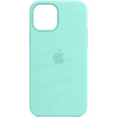 Кожаный чехол Leather Case (AA Plus) with MagSafe для Apple iPhone 13 Pro (6.1") Ice