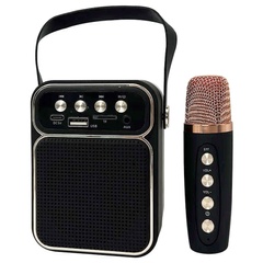 Bluetooth колонка JEQANG JB-717 Mini BT+KTV із мікрофоном, Black