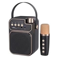 Bluetooth колонка JEQANG JB-718 Mini BT+KTV із мікрофоном, Black