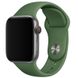 Силіконовий ремінець для Apple Watch Sport Band 38 / 40 / 41 (S/M & M/L) 3pcs, Зеленый / Clover