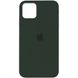 Чехол Silicone Case Full Protective (AA) для Apple iPhone 12 Pro / 12 (6.1") Зеленый / Cyprus Green