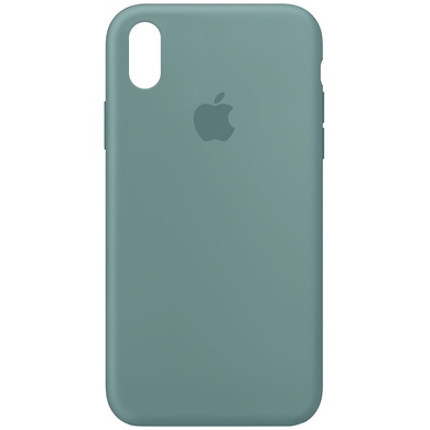 Чохол Silicone Case Full Protective (AA) для Apple iPhone XR (6.1 "), Зеленый / Cactus