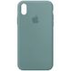 Чехол Silicone Case Full Protective (AA) для Apple iPhone XR (6.1") Зеленый / Cactus