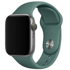 Силіконовий ремінець для Apple watch 38mm/40mm/41mm, Зелений / Pine green
