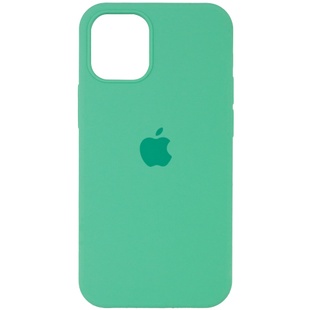 Чехол Silicone Case Full Protective (AA) для Apple iPhone 16 (6.1") Зеленый / Spearmint