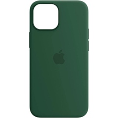 Кожаный чехол Leather Case (AA Plus) with MagSafe для Apple iPhone 13 (6.1") Pine green