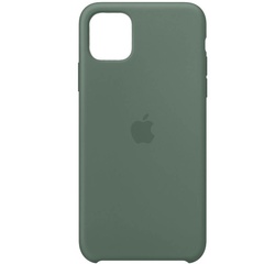 Чехол Silicone case (AAA) для Apple iPhone 11 (6.1") Зеленый / Pine green