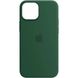 Шкіряний чохол Leather Case (AA Plus) with MagSafe для Apple iPhone 13 (6.1"), Pine green
