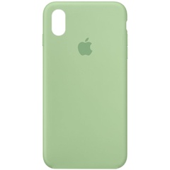 Чехол Silicone Case Full Protective (AA) для Apple iPhone X (5.8") / XS (5.8") Зеленый / Pistachio