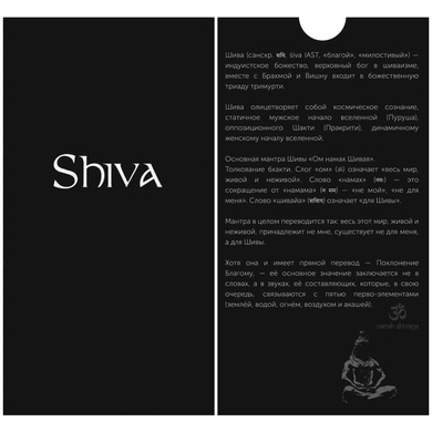 Защитное стекло Shiva (Full Cover) для Apple iPhone 11 Pro Max / XS Max (6.5") Черный