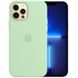 Чехол Silicone Case Full Protective (AA) для Apple iPhone 13 Pro Max (6.7") Зеленый / Pistachio