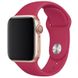 Силиконовый ремешок для Apple watch 38mm/40mm/41mm Малиновый / Pomegranate