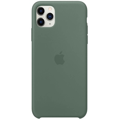 Чохол Silicone case (AAA) для Apple iPhone 11 Pro (5.8 "), Зелений / Pine green