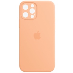 Чохол Silicone Case Full Camera Protective (AA) для Apple iPhone 13 Pro Max (6.7 "), Помаранчевий / Cantaloupe