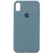 Чохол Silicone Case Full Protective (AA) для Apple iPhone X (5.8 ") / XS (5.8"), Зелений / Pine green