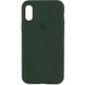 Чохол Silicone Case Full Protective (AA) для Apple iPhone XR (6.1 "), Зеленый / Cyprus Green